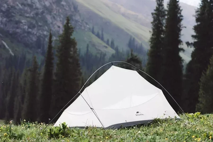 Ultralight Backpacking Tent